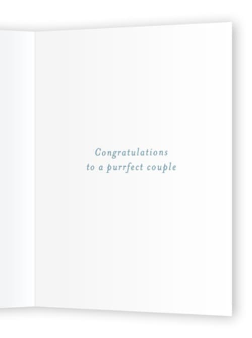 This is a powder wedding cards with standard by Sarah Knight called just meowied printing on signature in greeting cards