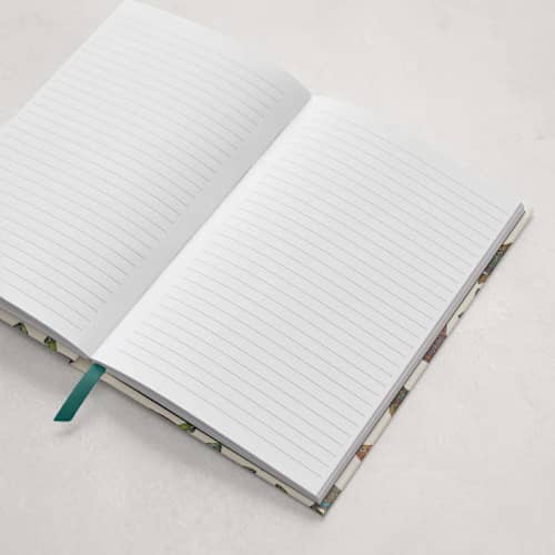 This is a multi journals by Snow and Ivy called fishy in standard