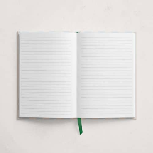 This is a sky journals by Pixel and Hank called spritz stripes in standard