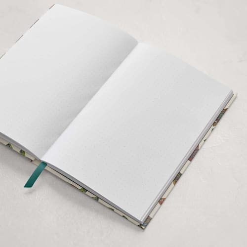 This is a multi journals by Snow and Ivy called fishy in standard