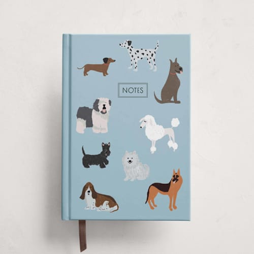 This is a sky journals by Laura Bercovich called spot check in standard