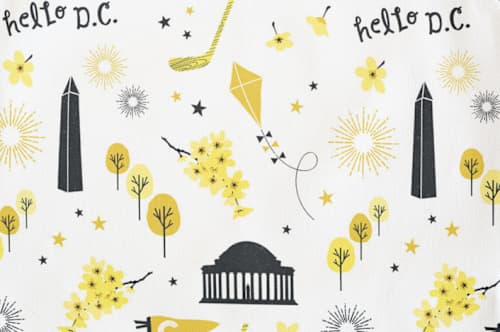 This is a cement kids aprons by Kristie Kern called washington dc in standard