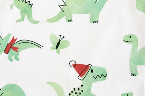 This is a mint kids aprons by Jessie Steury called darling dinos in standard