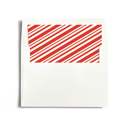 This is a berry wedding envelopes with standard by Leah Bisch called photo booth printing on signature in liner
