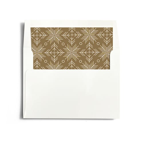 This is a toffee wedding envelopes with standard by Jennifer Postorino called glimmer printing on signature in liner