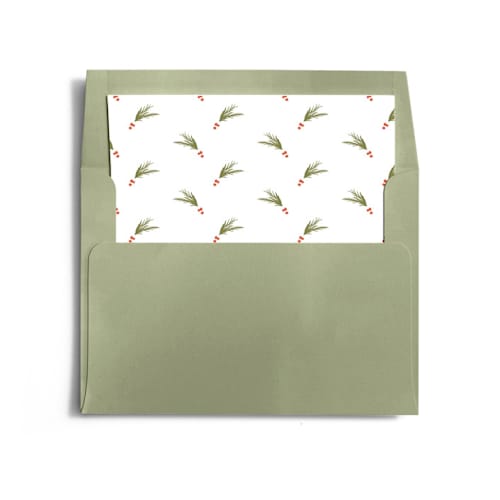 This is a snow wedding envelopes with standard by Robert and Stella called caroling printing on signature in liner