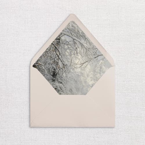This is a multicolorassorted-colors wedding envelopes by Studio Lavender called winter envelope liners, pack of 25 in standard