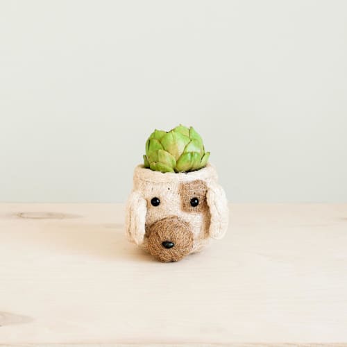 This is a natural accent pieces by LIKHA called mini pot dog planter in standard