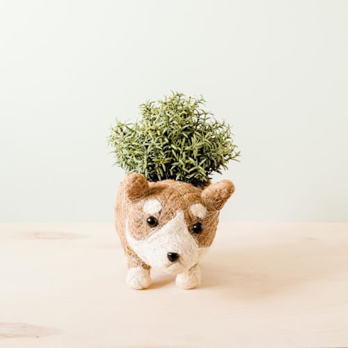 This is a brown accent pieces by LIKHA called corgi planter in standard