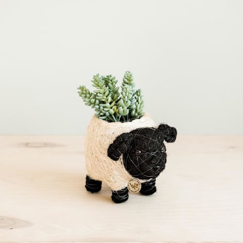 This is a white accent pieces by LIKHA called baby sheep planter in standard