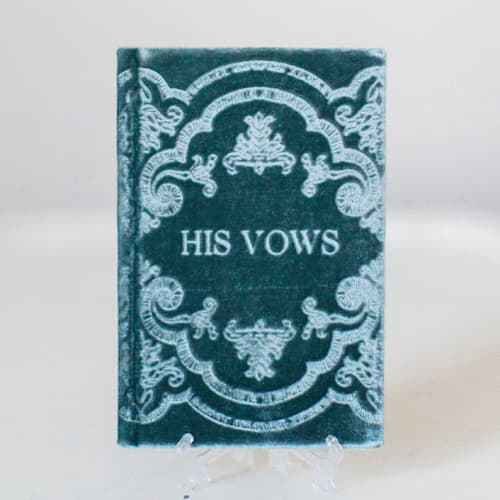 This is a blue vow books by Velvet Raptor called vow book - his in standard