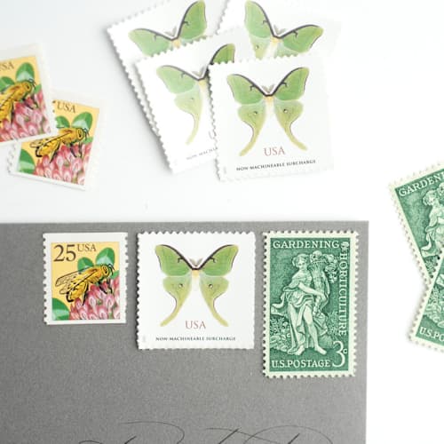 This is a green stamps by Flourish Fine Writing called the greenhouse soirée postage set // set of 5 // $1.59 in postage per set in standard