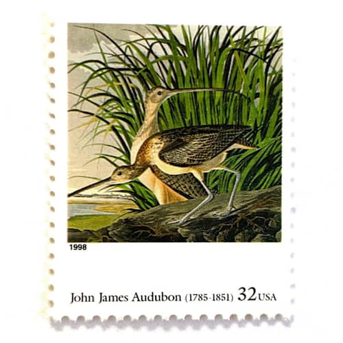 This is a green stamps by Heritage Post House called john james audubon's long-billed curlew postage stamps | four centuries of american art series | bird stamps | wedding stamps | vintage unused usps postage 32c | pack of 10 in standard
