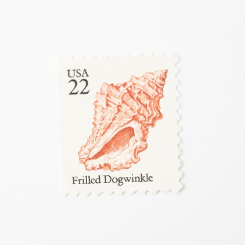 This is a beige stamps by Flourish Fine Writing called 22 cent frilled dogwinkle seashell postage stamps // set of 10 // unused vintage stamps in standard