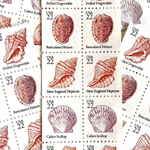 This is a pink stamps by Heritage Post House called seashells set of 5 postage stamps | wedding stamps | vintage unused usps postage | 22c/stamp | $1.10/set of 5 | pack of 5 sets (25 stamps total) in standard