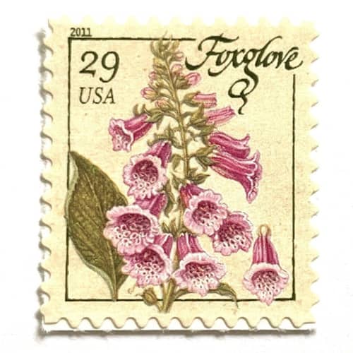 This is a pink stamps by Heritage Post House called foxglove flower postage stamps | herbs series | botanical | wedding stamps | vintage unused usps postage 29c | pack of 10 in standard
