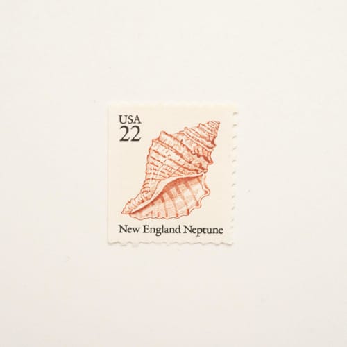 This is a beige stamps by Flourish Fine Writing called 22 cent new england neptune seashell postage stamps // set of 10 // unused in standard