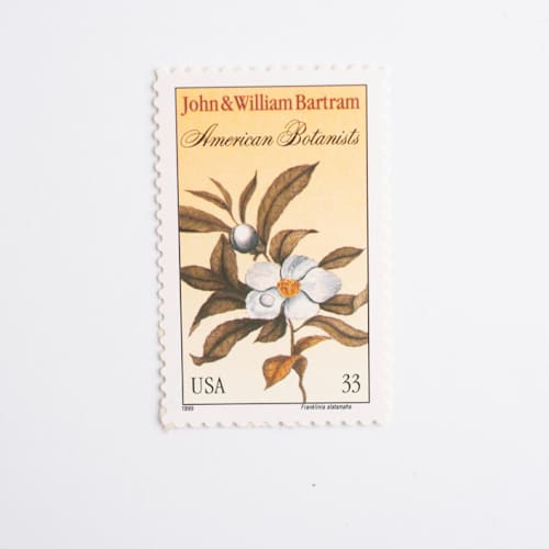 This is a yellow stamps by Flourish Fine Writing called 33 cent john and william bartram, american botanist stamps // set of 10 // unused vintage stamps in standard