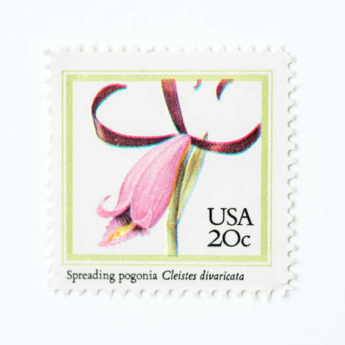 This is a pink stamps by Flourish Fine Writing called 20 cent spreading pogonia orchid postage stamps // set of 10 // unused vintage postage stamps in standard