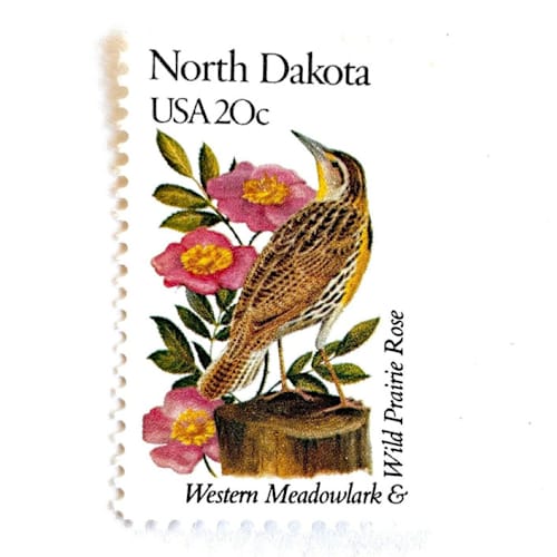 This is a pink stamps by Heritage Post House called north dakota postage stamps | state bird and flower issue | western meadowlark & wild prairie rose | vintage unused usps postage 20c | pack of 10 in standard