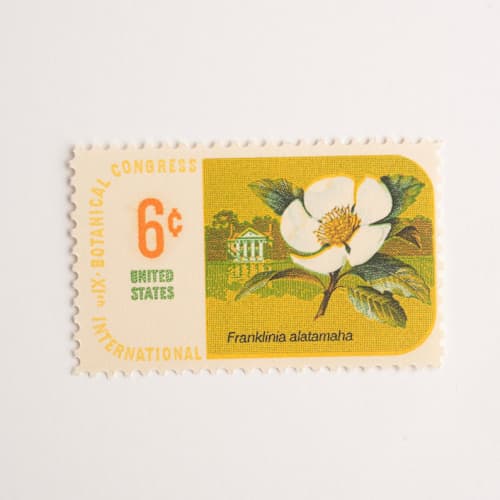 This is a gold stamps by Flourish Fine Writing called 6 cent botanical congress, franklinia postage stamps // set of 10 // unused vintage postage stamps in standard