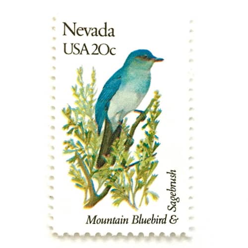 This is a blue stamps by Heritage Post House called nevada postage stamps | state bird and flower issue | mountain bluebird & sagebrush | vintage unused usps postage 20c | pack of 10 in standard