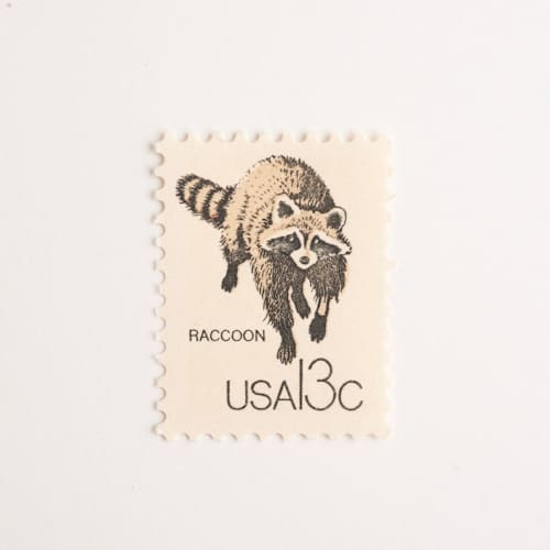 This is a gray stamps by Flourish Fine Writing called 13 cent raccoon stamps // set of 10 // unused vintage stamps in standard