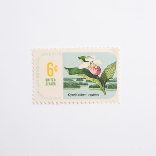 This is a blue stamps by Flourish Fine Writing called 6 cent botanical congress, pink lady's slipper orchid postage stamps // set of 10 // unused vintage stamps in standard