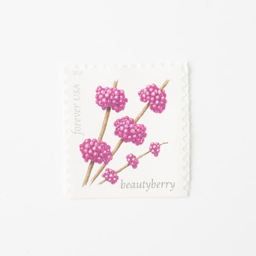 This is a purple stamps by Flourish Fine Writing called winter beautyberry forever stamps // set of 10 // unused vintage stamps in standard