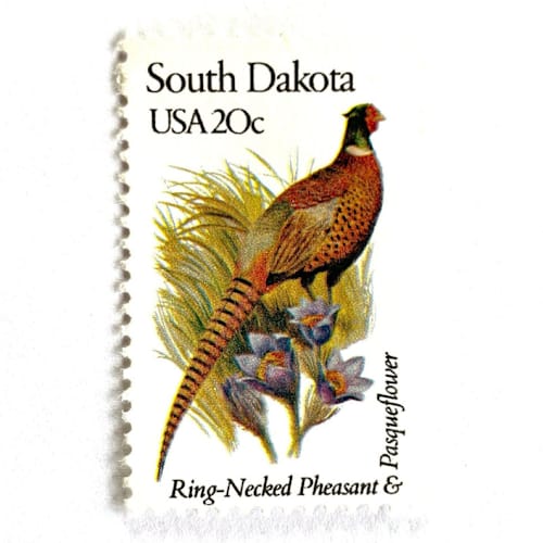 This is a bronze stamps by Heritage Post House called south dakota postage stamps | state bird and flower issue | ring-necked pheasant & pasqueflower | vintage unused usps postage 20c | pack of 10 in standard