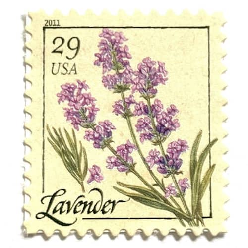 This is a purple stamps by Heritage Post House called lavender flower postage stamps | herbs series | botanical | wedding stamps | vintage unused usps postage 29c | pack of 10 in standard