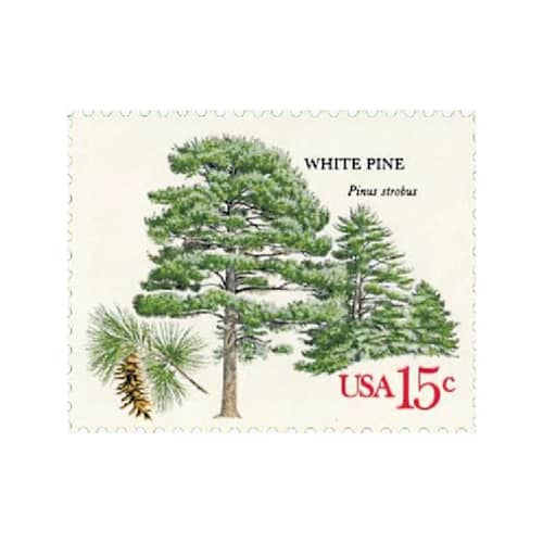 This is a green stamps by Flourish Fine Writing called 15 cent white pine tree postage stamps // set of 10 // unused vintage stamps in standard