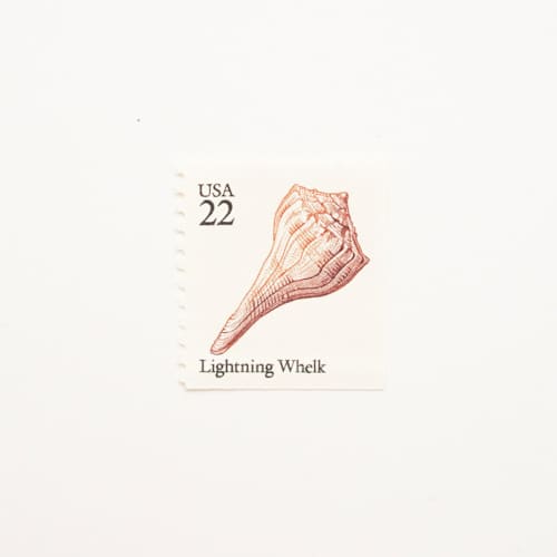 This is a beige stamps by Flourish Fine Writing called 22 cent lightning whelk seashell postage stamps // set of 10 // unused in standard