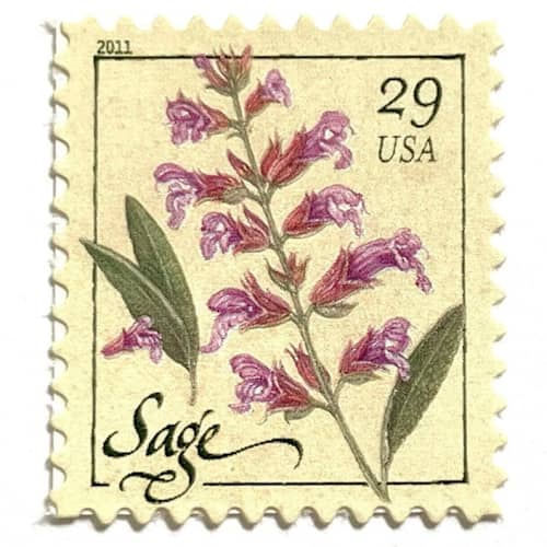 This is a pink stamps by Heritage Post House called sage flower postage stamps | herbs series | botanical | wedding stamps | vintage unused usps postage 29c | pack of 10 in standard
