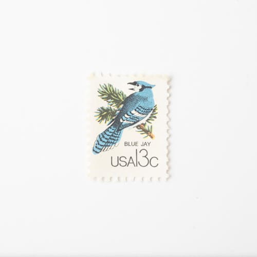 This is a blue stamps by Flourish Fine Writing called 13 cent blue jay postage stamps // set of 10 // unused vintage stamps in standard