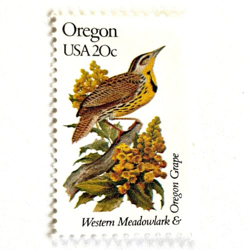 This is a brown stamps by Heritage Post House called oregon postage stamps | state bird and flower issue | western meadowlark & oregon grape | vintage unused usps postage 20c | pack of 10 in standard