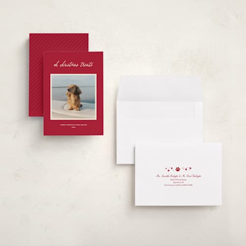 This is a red chew toy holiday photo cards with standard by Sarah Hawkins Designs called christmas treats printing on recycled smooth signature in grand