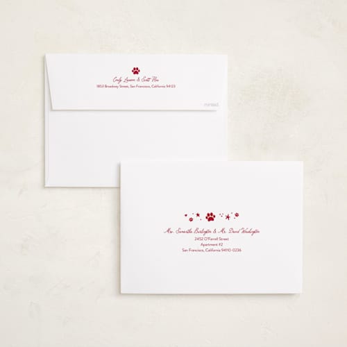 This is a red chew toy holiday photo cards with standard by Sarah Hawkins Designs called christmas treats printing on recycled smooth signature in grand