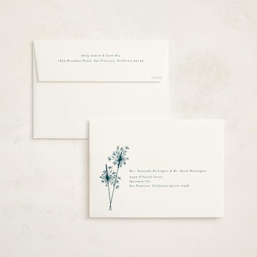 This is a peacock holiday photo cards with standard by Paula Pecevich called sparklers printing on signature in grand