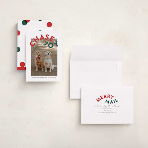 This is a holly holiday photo cards with standard by Angela Garrick called chase joy printing on recycled smooth signature in grand