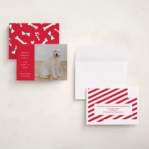 This is a holly holiday photo cards with standard by The Social Type called naughty holiday dog printing on recycled smooth signature in grand