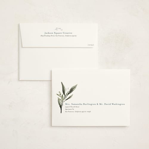 This is a blue spruce holiday photo cards with standard by Susan Moyal called holiday botanical printing on signature in grand