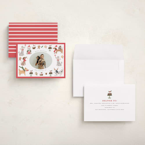 This is a berry holiday photo cards with standard by Teju Reval called festive dogs printing on signature in grand