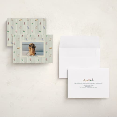This is a frost holiday photo cards with standard by Daisyworks Studio called paws & pinstripes printing on signature in grand
