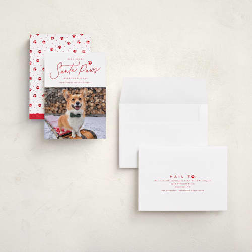 This is a cherry holiday photo cards with standard by Everett Paper Goods called here comes santa paws printing on recycled smooth signature in grand