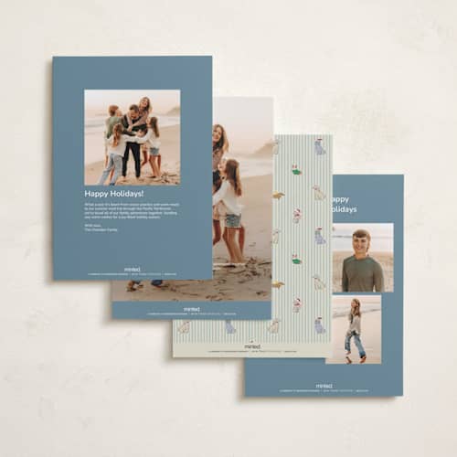 This is a frost holiday photo cards with standard by Daisyworks Studio called paws & pinstripes printing on signature in grand