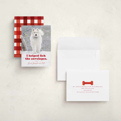 This is a chewed stocking holiday photo cards with standard by Hudson meet Rose called helping printing on recycled smooth signature in grand