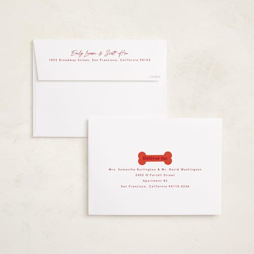 This is a chewed stocking holiday photo cards with standard by Hudson meet Rose called helping printing on recycled smooth signature in grand