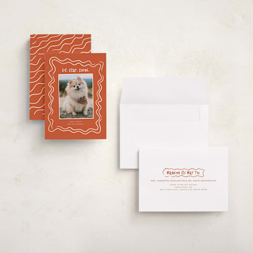 This is a holly holiday photo cards with standard by Vera Lim called wiggly lines printing on recycled smooth signature in grand