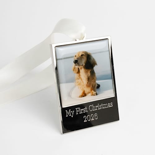 This is a silver holiday decorations by Kimbra Designs called 2026 custom photo ornament my first christmas in standard